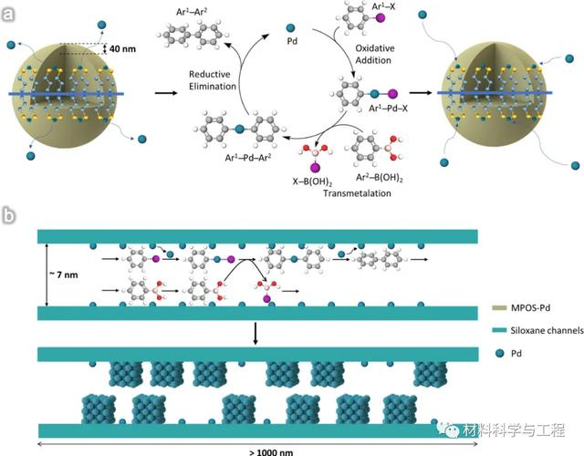 Suzuki反应（合成化学领域最重要发现之一）中金属钯的奇妙变化