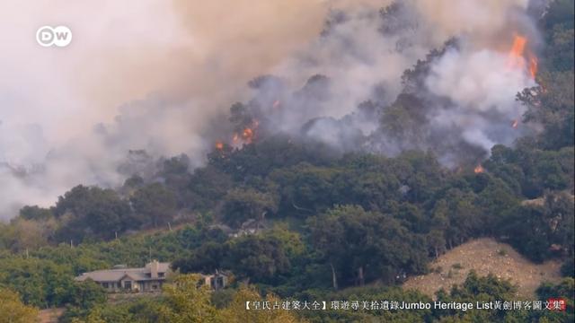 第4027回：气候炸弹亚洲纸浆，水上烟泥炭地退化