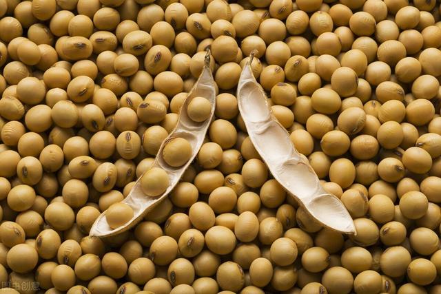 为口粮而战：国家与国际资本之间的粮食战争