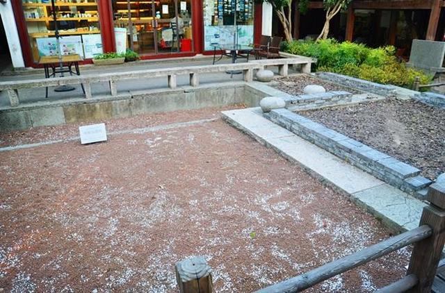 「骆驼旅行-杭州」雾里雨里，我会一直记得你（上）