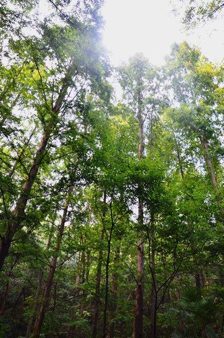 「骆驼旅行-杭州」雾里雨里，我会一直记得你（上）