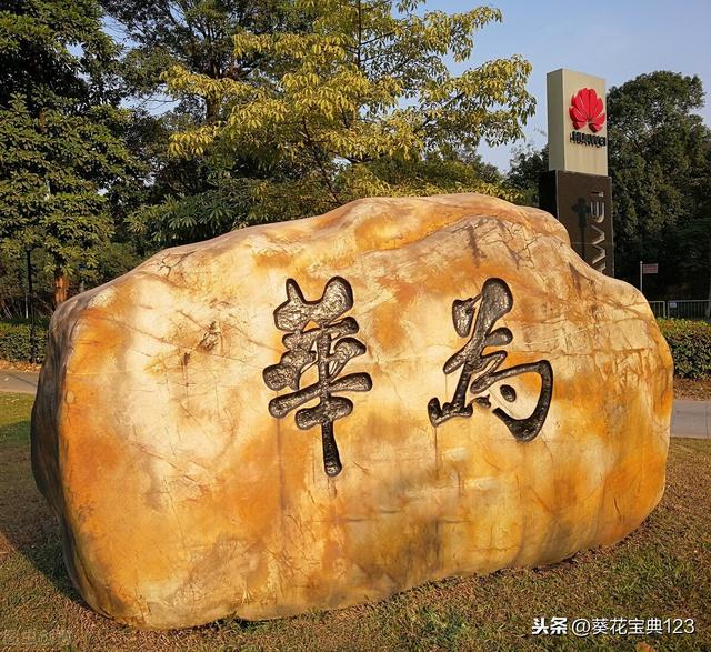 中国芯片弯道超车，华为为何如此重要