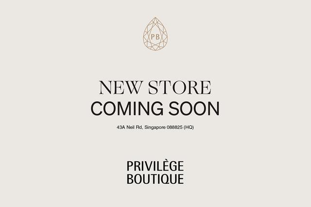 Privilege Boutique 新加坡精品店品牌设计