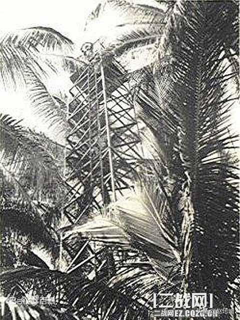 勿忘瓜岛（八）二次世界大战期间惨烈喋血的海陆空混战之瓜岛战役