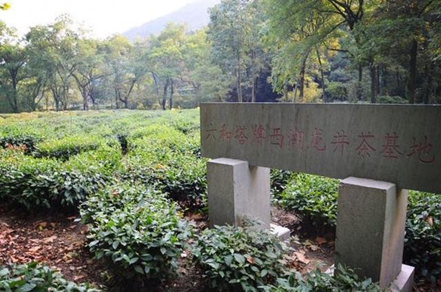 「骆驼旅行-杭州」雾里雨里，我会一直记得你（上）