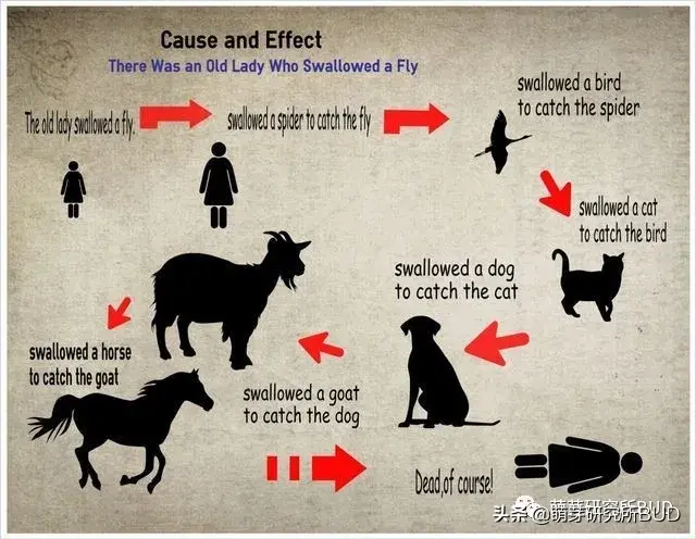 如何系统启蒙孩子的数学思维，一篇文章说透