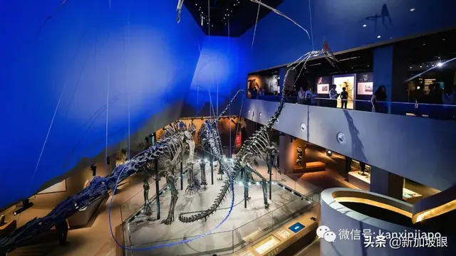 「下周活动」恐龙化石展览半价、施华洛世奇送旅行首饰盒