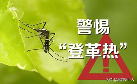 新加坡遭遇最严重登革热疫情，夏季防蚊不可松懈