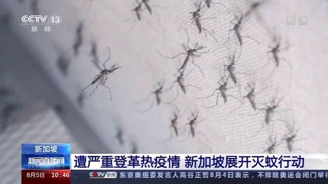 新加坡登革热确诊病例超2万例，家中有这些环境问题，你知道吗？