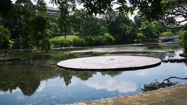 没有四季的新加坡，宏茂桥市镇的公园