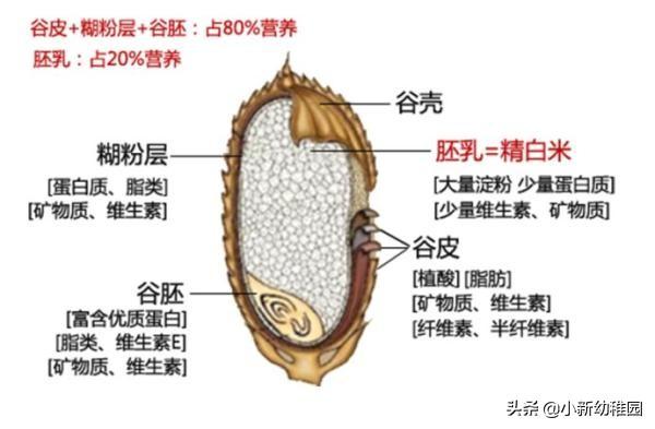 日本幕府将军德川家茂，或是名留青史的英迈君主，却因脚气病逝？