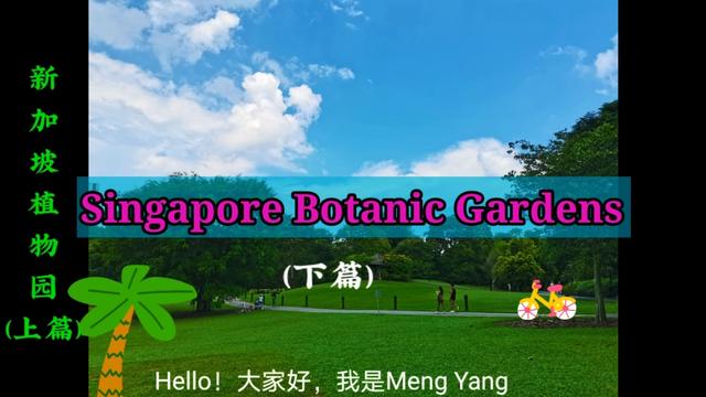 【Meng Yang】新加坡植物园（下篇）