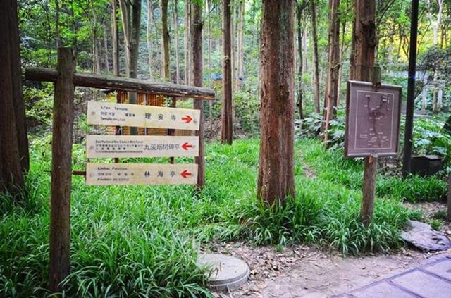 「骆驼旅行-杭州」雾里雨里，我会一直记得你（上）