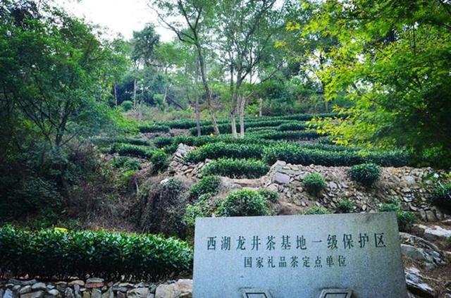 「骆驼旅行-杭州」雾里雨里，我会一直记得你（上）