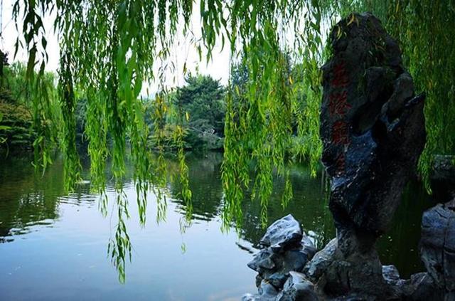 「骆驼旅行-杭州」雾里雨里，我会一直记得你（上）