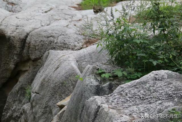 汶上故事：梅山庄（61）