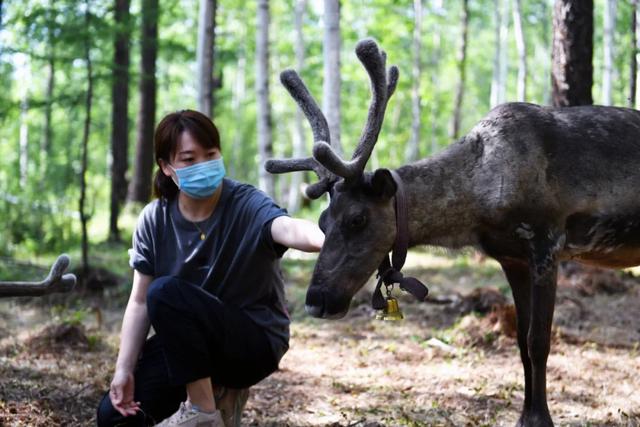 走出山林奔小康 鄂温克族迎来新生活