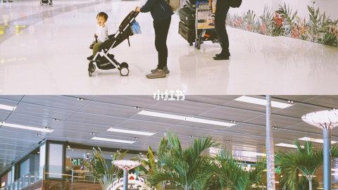 新加坡之行亲子游行程分享&好用物品推荐