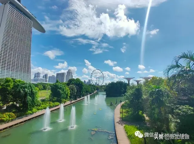 解封后，最想去的地方是新加坡