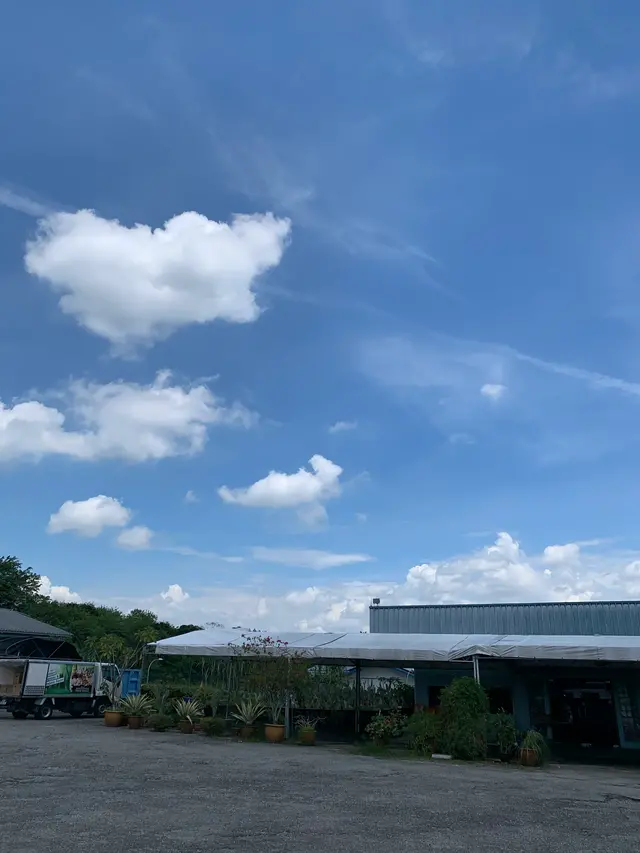 周末好去处：与马来西亚一海之隔的蔡厝港农业园艺区