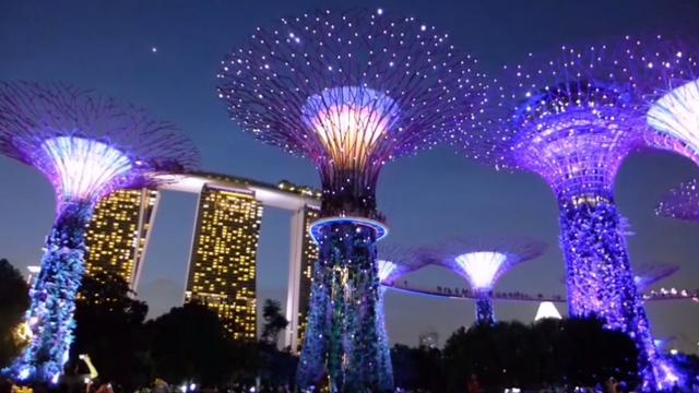 玩转新加坡2：滨海湾花园灯光秀