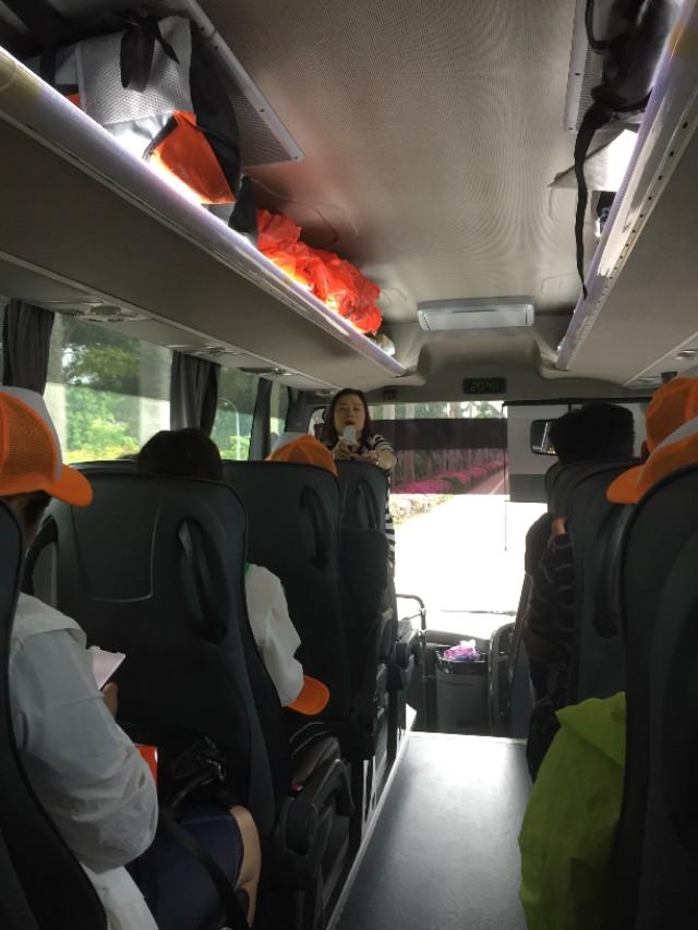 走马观花新加坡