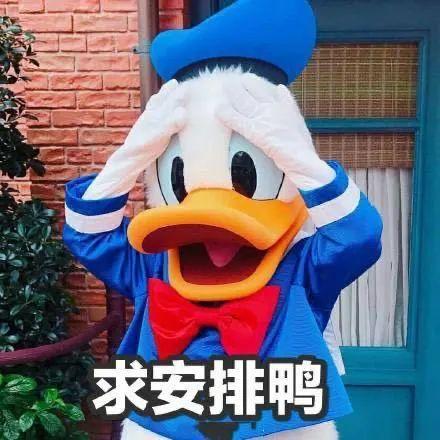 海淀最新的打开方式