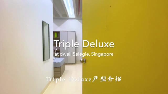 www.dwellstudent.com.sg #新加坡留学