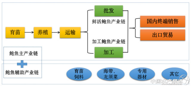 海洋“软黄金”—鲍鱼的产业分析