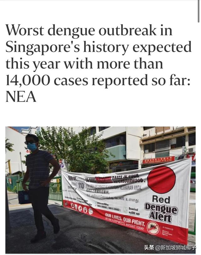 家人群爆了！“新加坡登革热疫情史上最严重”登上微博热搜