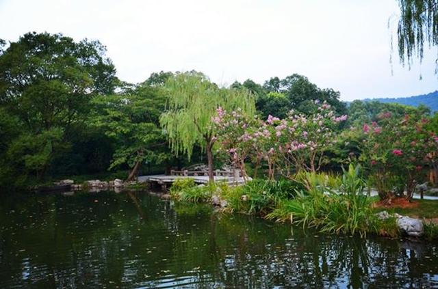 「骆驼旅行-杭州」雾里雨里，我会一直记得你（上）