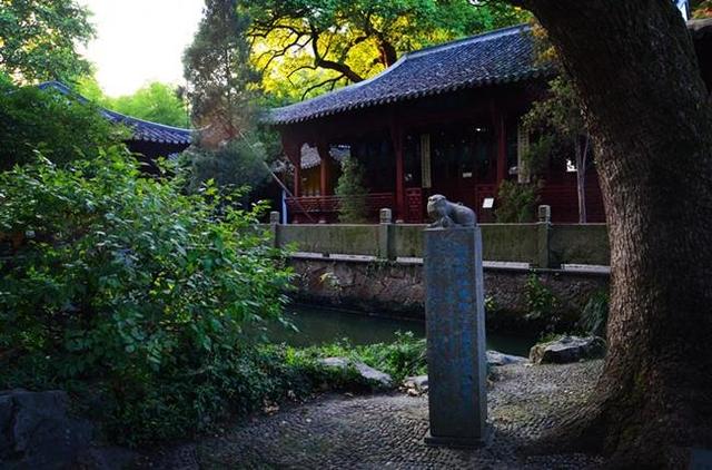 「骆驼旅行-杭州」雾里雨里，我会一直记得你（上）