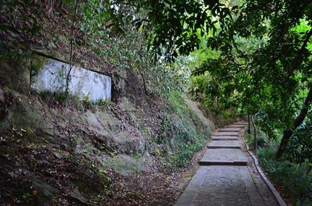 「骆驼旅行-杭州」雾里雨里，我会一直记得你（上）