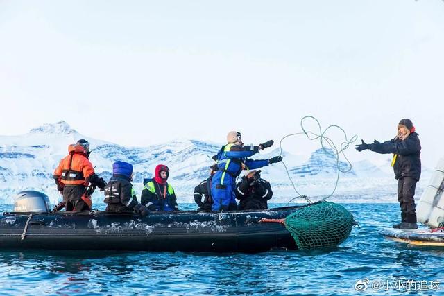 观察｜市场火热、类型扎堆，旅行综艺还能怎么“玩”