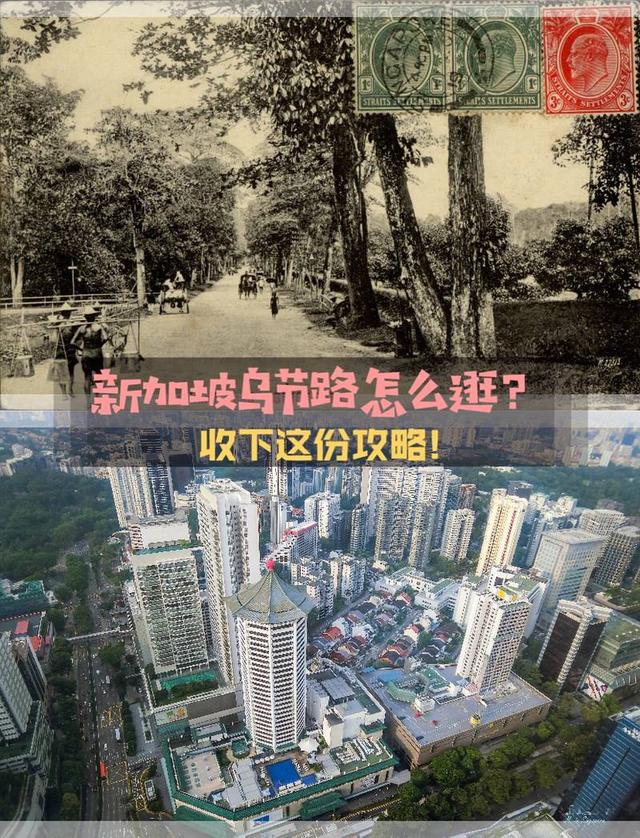 新加坡乌节路怎么逛？收下这份攻略 大名鼎鼎的乌节路是新加坡最繁华最热闹也是历史最悠久的商圈。无论你所寻找的是国际奢华品牌、新加坡本地时尚品牌还是商业街上的时尚潮品，这个活力四射的地带都会满足你所有的需