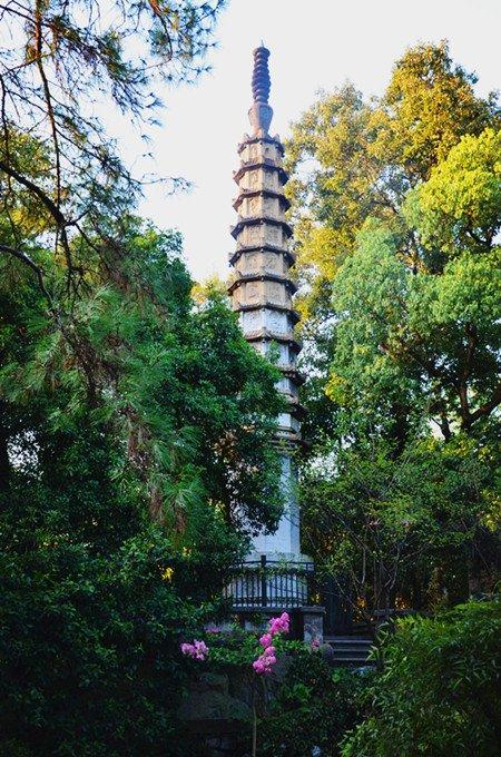 「骆驼旅行-杭州」雾里雨里，我会一直记得你（上）