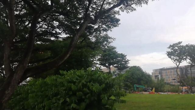 狮城新加坡，高速公路进出口，都没有收费站,方便，通行无阻