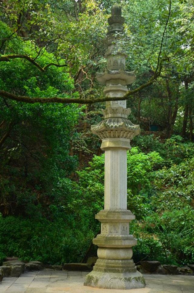 「骆驼旅行-杭州」雾里雨里，我会一直记得你（上）