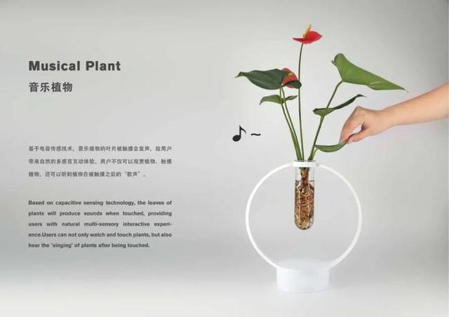让“美梦”成真！浙大这门课是学生口中的“良心制作”