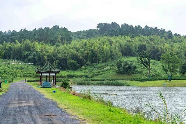 江苏避暑地，茅山宝盛园：睡在竹海，漂进丛林，清凉一夏