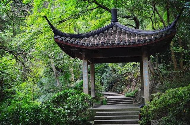 「骆驼旅行-杭州」雾里雨里，我会一直记得你（上）