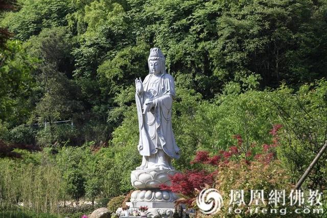 观音菩萨成道日！瞻礼全球百寺观音圣像，见者增福