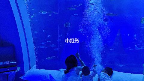 新加坡| 小朋友们梦幻之旅的海底套房…