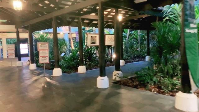 听说周润发也在这里跑过步，能不能偶遇呢😂新加坡国家植物园