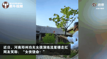 河南女孩的少林功夫火到对岸，台网友：中国人最宝贵的精华
