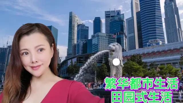 彬彬在新加坡--更爱繁华都市生活还是田园式生活？酒店隔离第六天