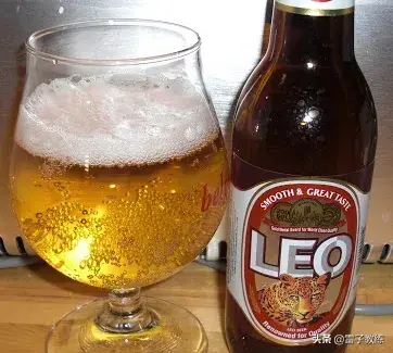 干货分享——泰国啤酒