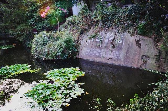 「骆驼旅行-杭州」雾里雨里，我会一直记得你（上）