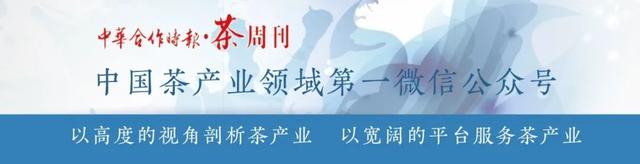 「关注」茶界新势力进军袋泡茶市场，未来可期