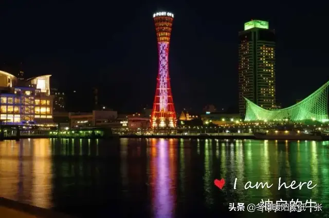 陈光：神户的牛